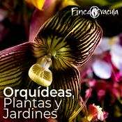 Finca Dracula Podcast