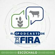 FIRA Podcast