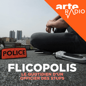 Flicopolis, la police française de l'intérieur
