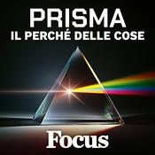 Focus Prisma - Il perché delle cose