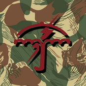 Incursion Group