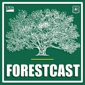 Forestcast