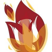 FORMACIÓN CATÓLICA. ENCÍCLICAS Y OTROS DOCUMENTOS.