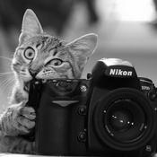 Fotografía para Principiantes