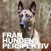 Från Hundens Perspektiv