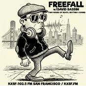 FreeFall w/David Bassin