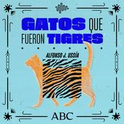 Gatos que fueron tigres