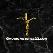 Gaudiumetspes22 podcast
