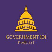 Government 101
