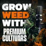 Grow Weed with Premium Cultivars