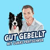 Gut gebellt
