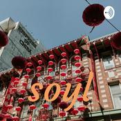 hel ba soyol hoorondin hariltsaa