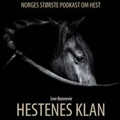 HESTENES KLAN