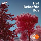 Het Beloofde Bos