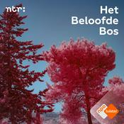 Het Beloofde Bos