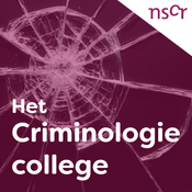 Het Criminologiecollege