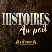Histoires au poil