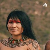 História do Paraná e populações Indígenas