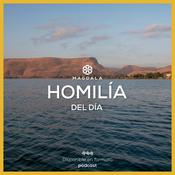 Homilía del día | Ciclo A: 2025 – 2026