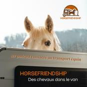 HorseFriendship - Des chevaux dans le van !