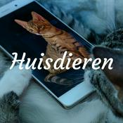 Huisdieren