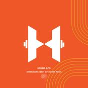 Hybrid DJ's