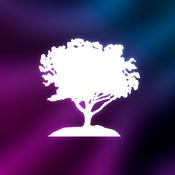 Igreja Batista Alameda Santa Felicidade