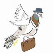 Il piscione viaggiatore