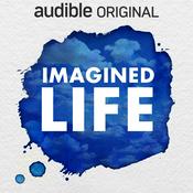 Imagined Life