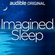 Imagined Sleep