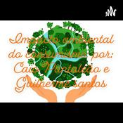 Impacto Ambiental do Consumismo. Por:Caio Pantaleão e Guilherme Santos