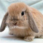 INFORMACIÓN DE CONEJOS
