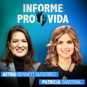 Informe provida