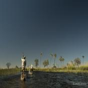 Into the Okavango