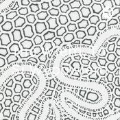 Januszowe Opowieści