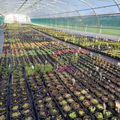 Jardinage
