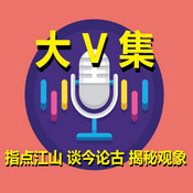大V集