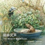经典儿童文学《柳林风声》ᅵ睡前读物ᅵ公版书