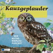 Kauzgeplauder