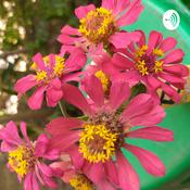 Kita cerita tentang hari Ini