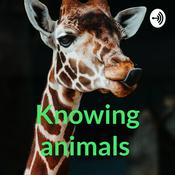 Knowing animals