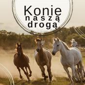 Konie naszą drogą