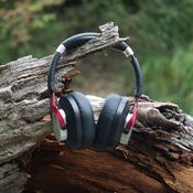 Können Mikrofone Artenvielfalt retten?