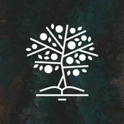 Kościół Jezusa Chrystusa w Krakowie