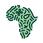 Kujenga Amani: Peacebuilding in Africa