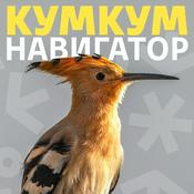 Кумкум. Навигатор