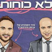 לא כוחות - ברמן ודוידוביץ’