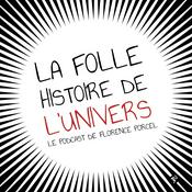 La folle histoire de l'Univers