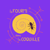La fourmi dans la coquille: Philosophie, Science, Arts, Culture et Créativité.