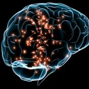 La neurociencia cognitiva.(Ruth Adames).